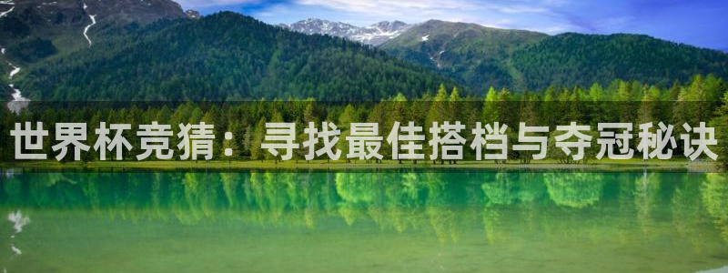 世界杯葡萄牙赛程：世界杯竞猜：寻找最佳搭档与夺冠秘诀