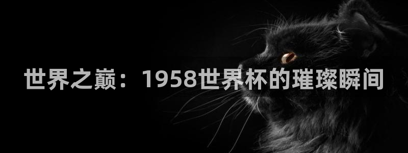 2026 世界杯：世界之巅：1958世界杯的璀璨瞬间