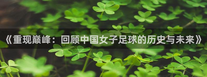 2026世界杯预选赛：《重现巅峰：回顾中国女子足球的历史与未来》