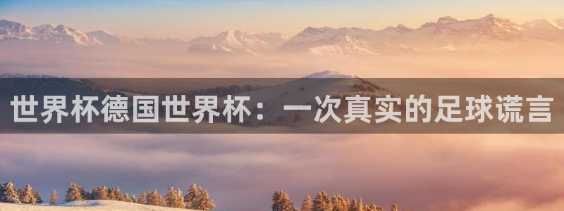 美国世界杯：世界杯德国世界杯：一次真实的足球谎言