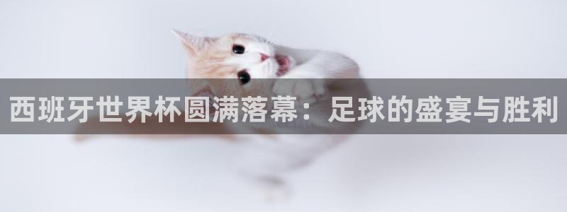 英格兰联赛杯直播：西班牙世界杯圆满落幕：足球的盛宴与胜利