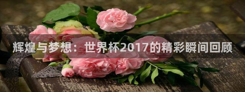 世界杯比赛赛程：辉煌与梦想：世界杯2017的精彩瞬间回顾