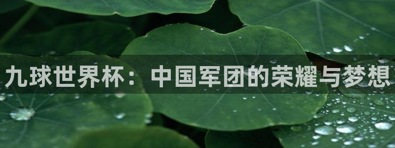世界杯女足直播：九球世界杯：中国军团的荣耀与梦想