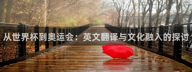 世界杯预选赛欧洲赛区赛程：从世界杯到奥运会：英文翻译与文化融入的探讨
