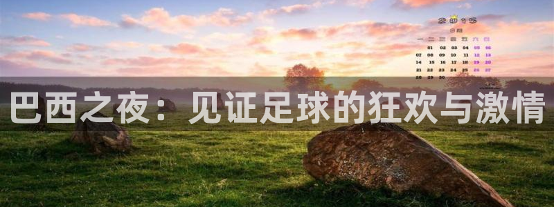 国际足联世界杯：巴西之夜：见证足球的狂欢与激情