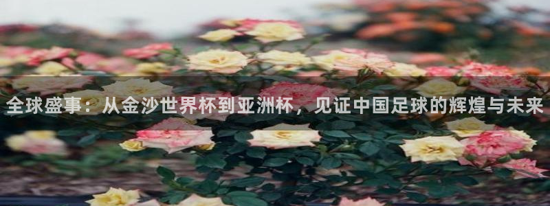 2026葡萄牙杯赛程表：全球盛事：从金沙世界杯到亚洲杯，见证中国足球的辉煌与未来