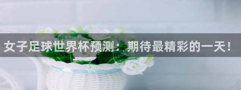 世界杯官网入口：女子足球世界杯预测：期待最精彩的一天！