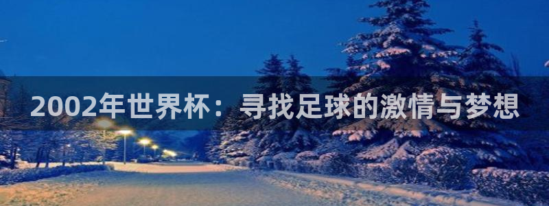 英足总杯直播：2002年世界杯：寻找足球的激情与梦想