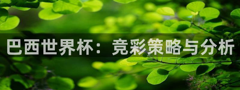 西超杯直播：巴西世界杯：竞彩策略与分析
