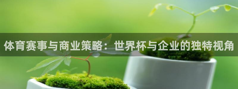 世界杯直播平台：体育赛事与商业策略：世界杯与企业的独特视角