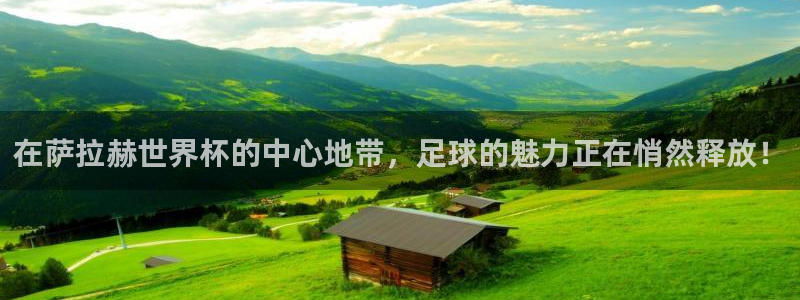 世界杯 2026：在萨拉赫世界杯的中心地带，足球的魅力正在悄然释放！