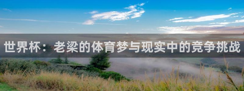 世界杯女足直播：世界杯：老梁的体育梦与现实中的竞争挑战