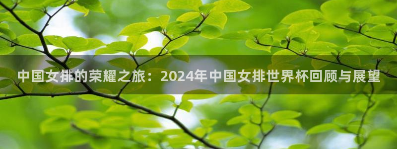 2026世界杯：中国女排的荣耀之旅：2024年中国女排世界杯回顾与展望
